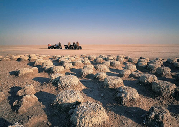 Kubu Island Kubu Island: Flamingonester