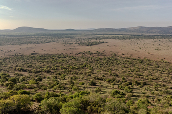 Laba Grumeti Art Lodge: Landschaft