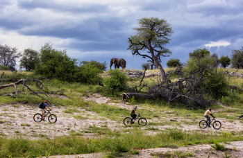 Meno A Kwena Camp Meno A Kwena Camp: Radfahren
