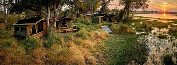 Oddball's Camp: Gästezelte