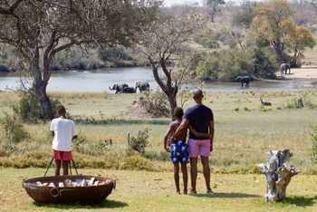 Singita Castleton: Gäste an Feuerstelle beobachten Elefanten