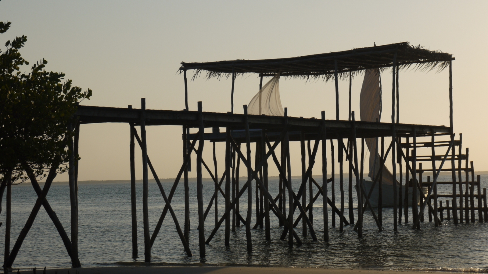 Sussurro Sussurro: Starbed Steg