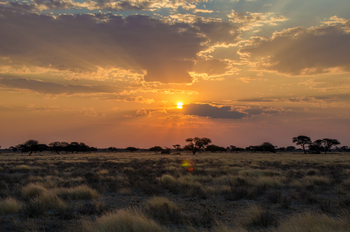 Tau Pan Camp Tau Pan Camp: Sonne und Wolken