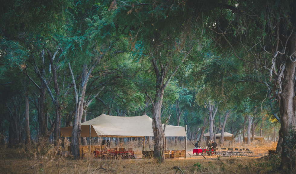 Kutali Camp: Im Winter Thorn Grove Kutali Camp: Im Winter Thorn Grove