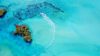 Cosmoledo Eco Camp: Korallenstock