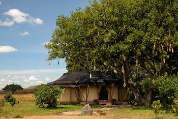 Elewana Sand River Masai Mara Camp Elewana Sand River Masai Mara Camp: Little Sand River