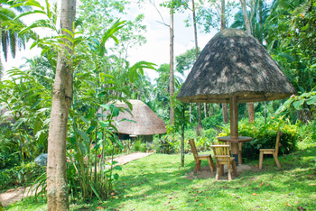 Kibale Forest Camp: Gästezelt ohne privates Bad