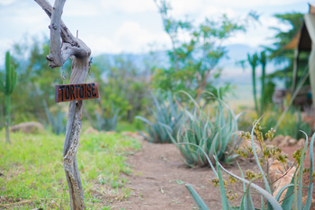 Kidepo Savannah Lodge: Tiernamen
