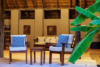 Luangwa River Camp: Stühle neben Palme