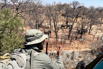Muddy Teak Camp: Aktivitäten