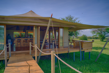 Sayari Camp: Steg zur Bar