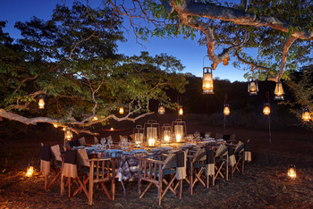 Singita Pamushana Lodge: Dinner unter Bäumen