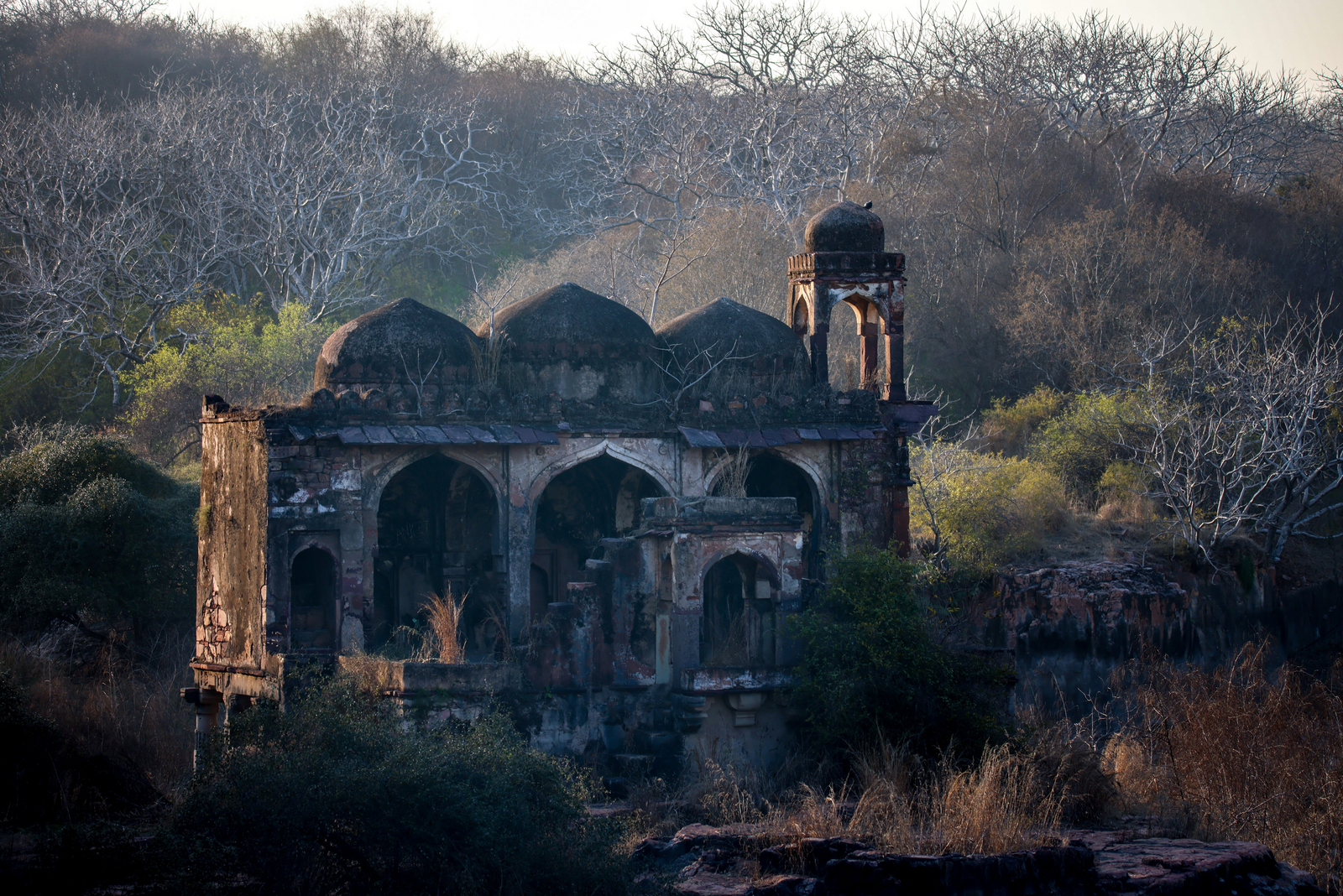 TUTC Sawai Shivir TUTC Sawai Shivir: Tempel im Park