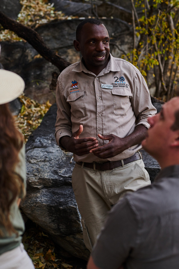 Tsodilo Hills Sleep-out: Felsmalereien