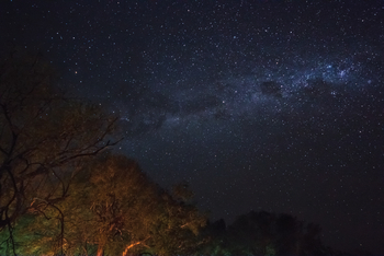 Belmond Eagle Island Lodge: Der afrikanische Sternenhimmel