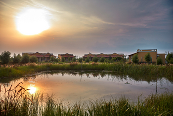 Blackbuck Safari Lodge: Reflektion im Teich