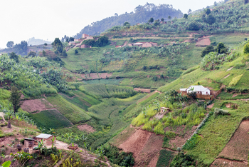Chameleon Hill Forest Lodge: Landschaft in Umgebung der Lodge