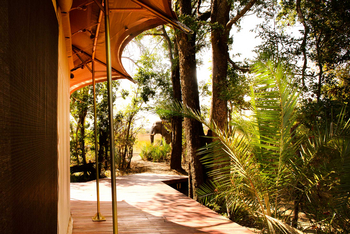 Ila Safari Lodge Ila Safari Lodge: Luxury Tent - Umlaufendes Deck