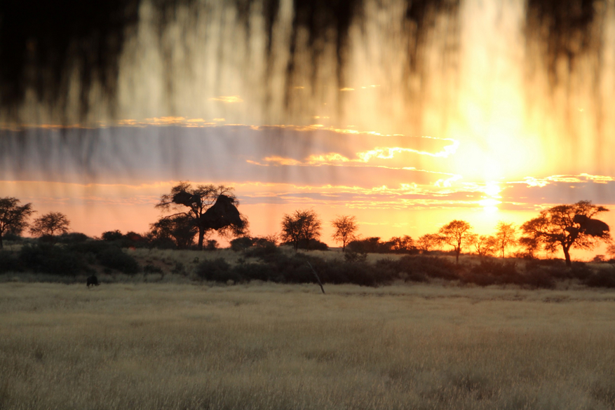 Kalahari Red Dunes Lodge