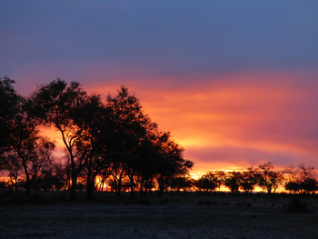 Lebala Camp Lebala Camp: Sonnenuntergang
