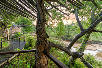 Legendary Mwiba Lodge: Walkway