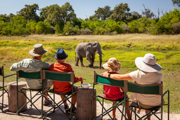 Machaba Camp: Elefant vor dem Camp