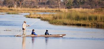 Moremi Crossing: Mokorotour
