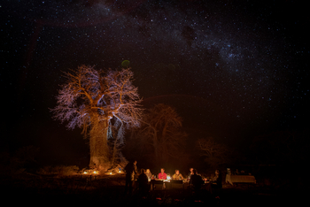 Camp Kalahari Camp Kalahari: Sterne und Baobab