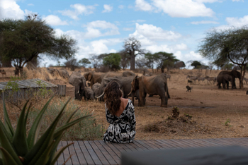 Nimali Tarangire Camp: Gast am Wasserloch