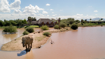 Old Traders Lodge: Elefant auf der Insel im See