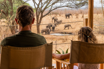 Olkeri Camp: Elefanten vor dem Camp
