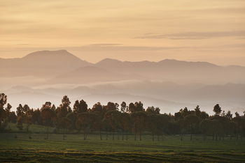 One and Only Gorilla's Nest: Sonnenaufgang und Berge