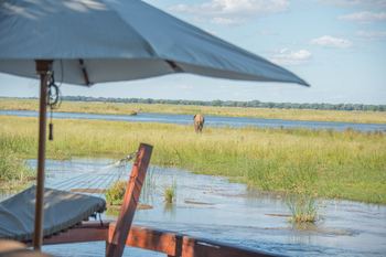 Royal Zambezi Lodge: Fluss und Elefant
