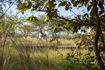 Singita Mara River Tented Camp: Eingang
