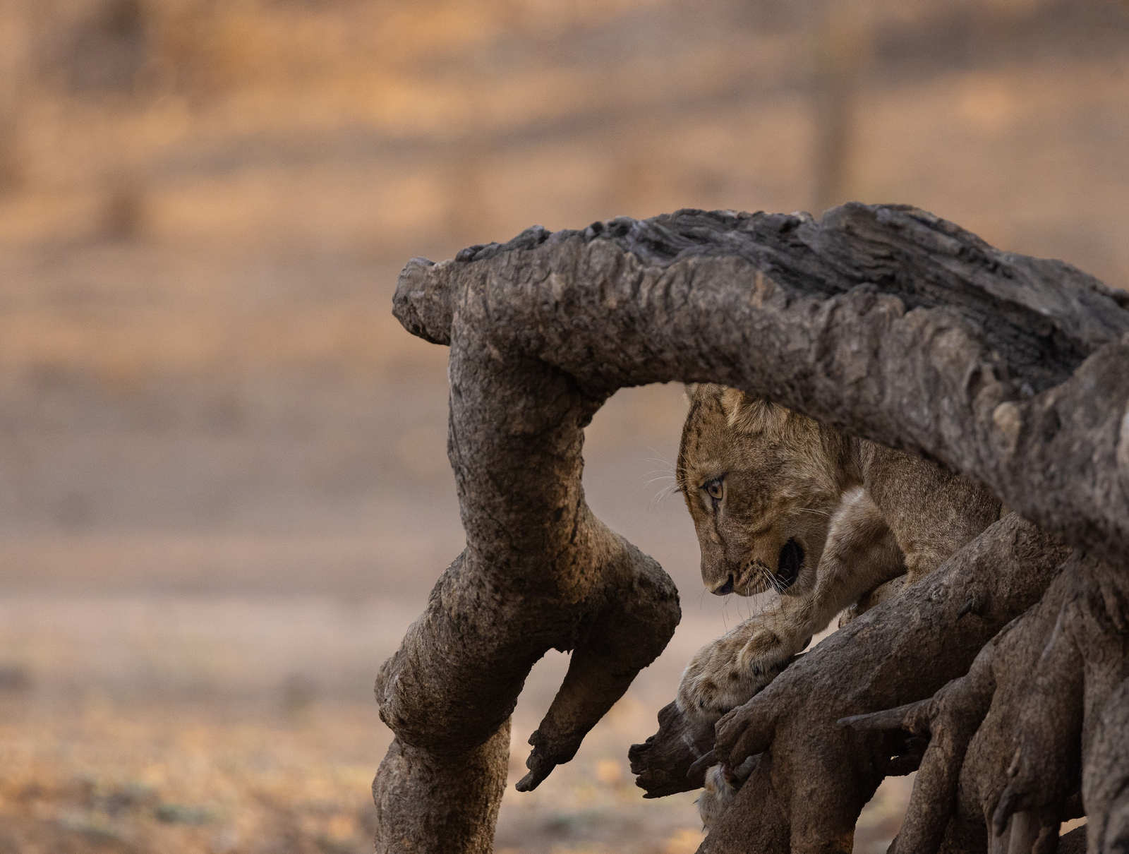 Sungani Lodge Sungani Lodge