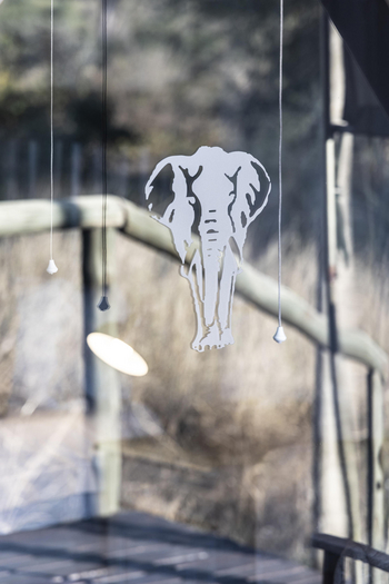 Tlouwana Camp Tlouwana Camp: Deko