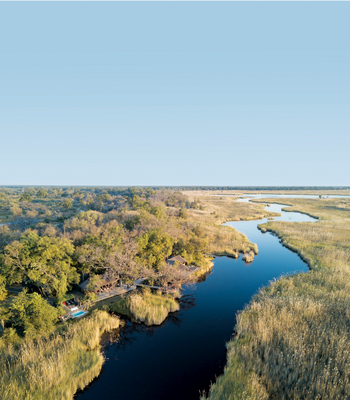 Camp Xakanaxa Camp Xakanaxa: Umgebung