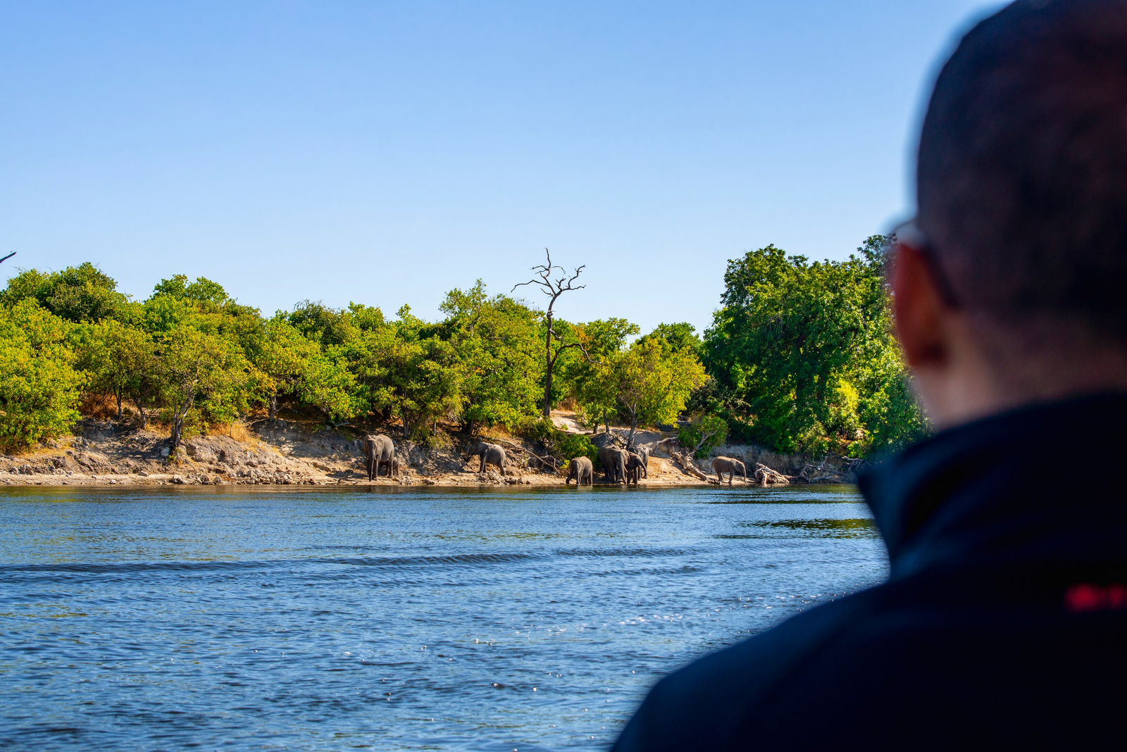Chobe River Camp Chobe River Camp: River Safari