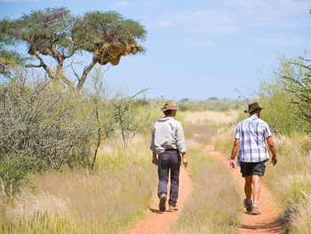 Desert Homestead Lodge Desert Homestead Lodge: Hiking