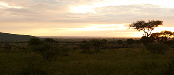 Dunia Camp: Morgenstimmung