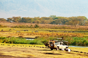Elewana The Manor at Ngorongoro: .