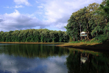 IORA The Retreat: Nameri Eco Reserve