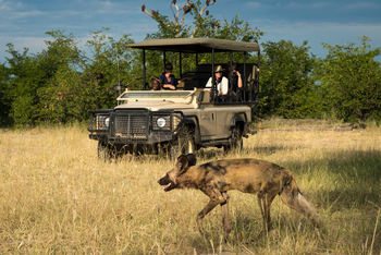 King's Pool Camp King's Pool Camp: Wildhund und Game Drive Vehicle