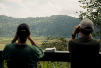Koroi Forest Camp: Aussicht