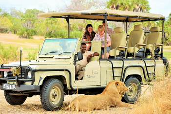 Lake Manze Camp: Junger Löwe