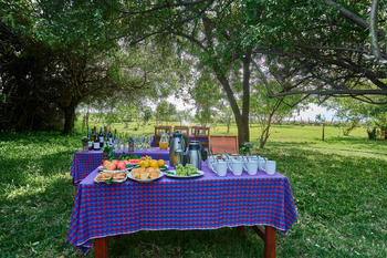 Lake Natron Tented Camp: Buffet im Grünen mit Weinflaschen