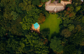 Moivaro Lodge: Pool neben üppigem Gras im Morgenlicht