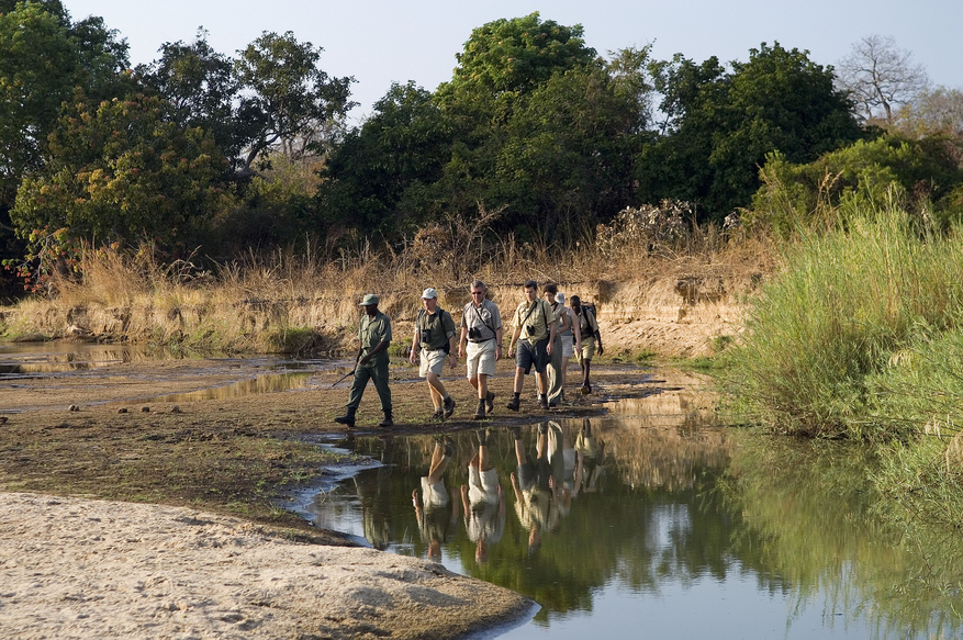 Mupamadzi Walking Safari