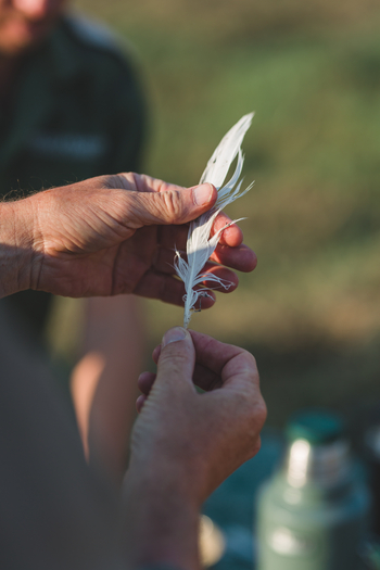 Musekese Camp Musekese Camp: Feder