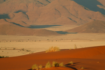 Namib Rand Nature Reserve: Dünen vor den Nubibbergen